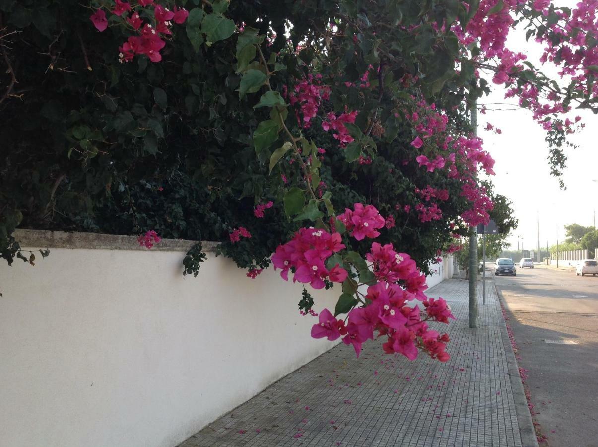 Casa La Sorgente Di Carlo Magno Apartment Otranto